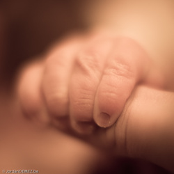 Jordan DEMEZ photo main de bébé qui tient un doigt